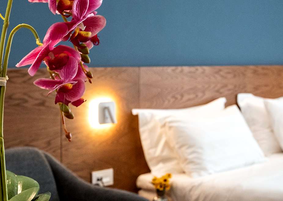 Dayshotel Room Superior Amenities